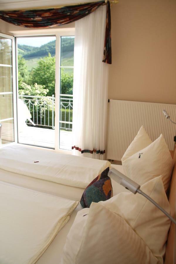Wein- Und Gaestehaus Binz-meyer Lieser